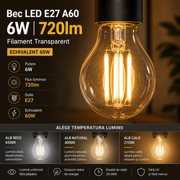Bec LED E27 A60 6W, 720lm Filament Transparent