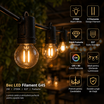 Bec LED E27 2W Filament G45 2700K Fumuriu