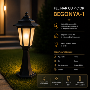 Felinar cu Picior Negru BEGONYA-1