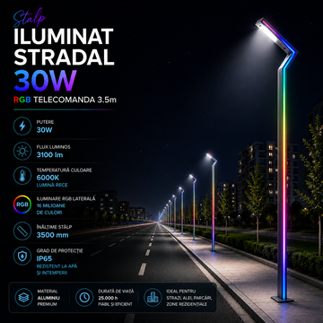 Stalp Iluminat Stradal 30W RGB Telecomanda 3.5m