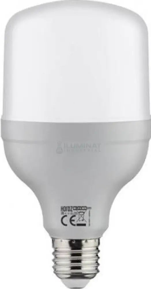 Bec LED E27 30W Torch