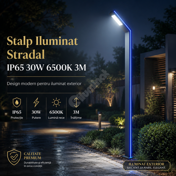 Stalp Iluminat Stradal IP65 30W 6500K 3M