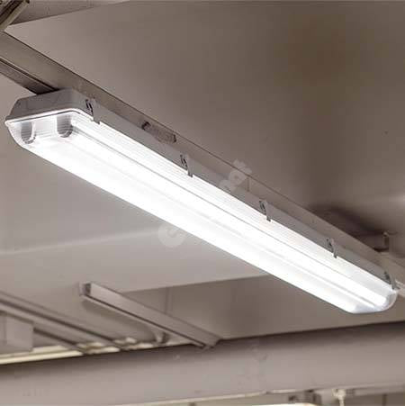 Tub Led T8 Mat 60Cm 9W 900 Lm Tube