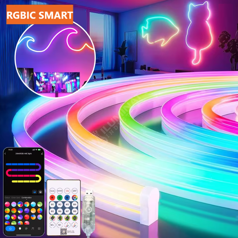 KIT NEON FLEX LED RGB IC SMART DIGITAL 12V 5m Telecomanda