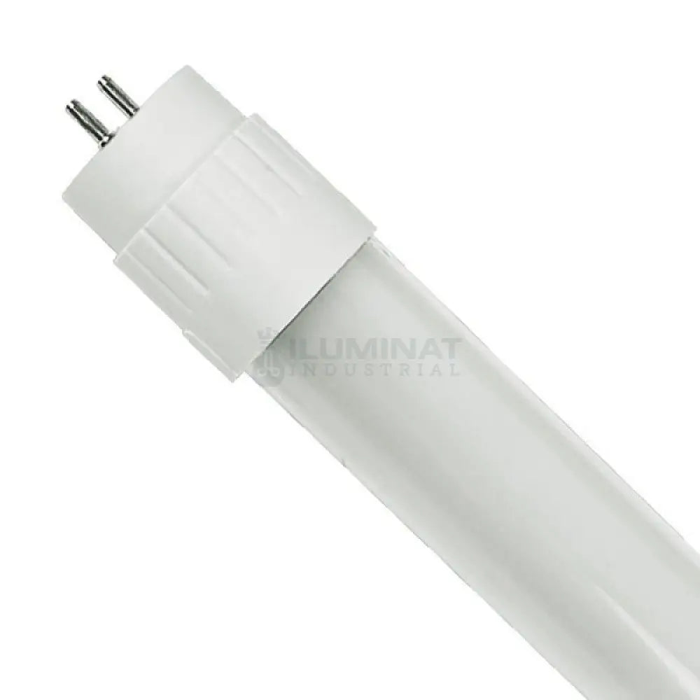 Tub Led T8 Mat 150Cm 24W 2500 Lm Tube