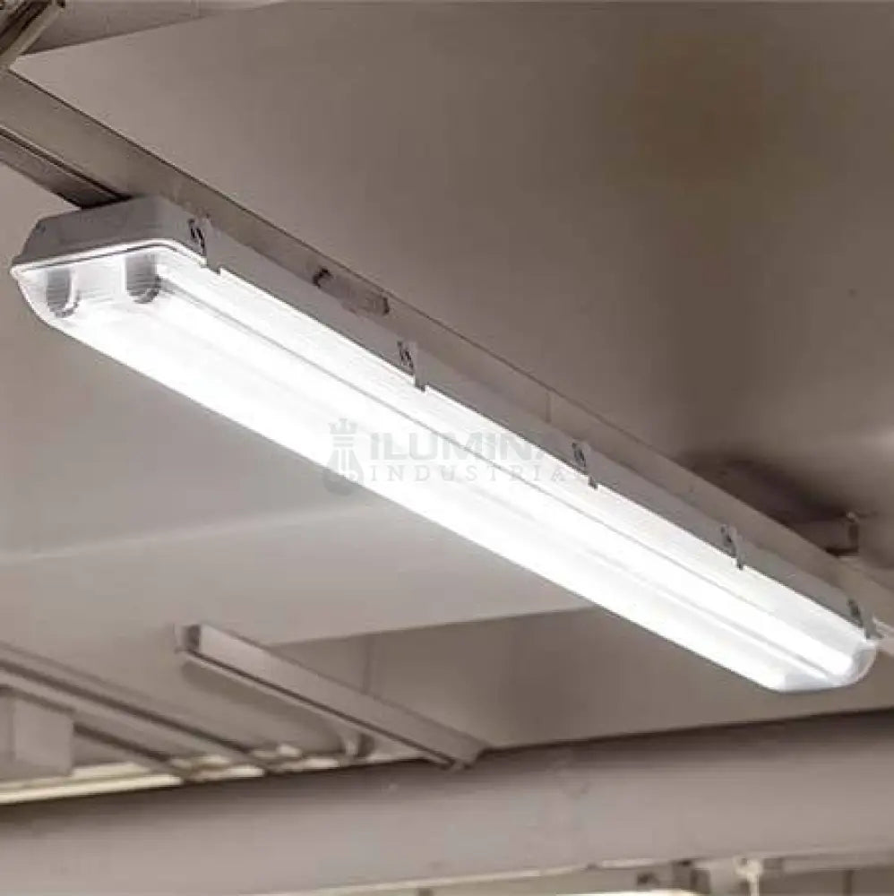 Tub Led T8 Mat 60Cm 9W 900 Lm Tube